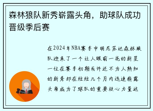 森林狼队新秀崭露头角，助球队成功晋级季后赛